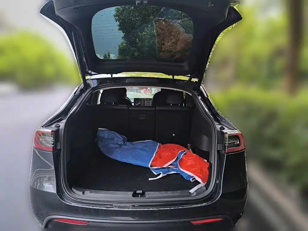 Tesla Model Y — миниатюра 10
