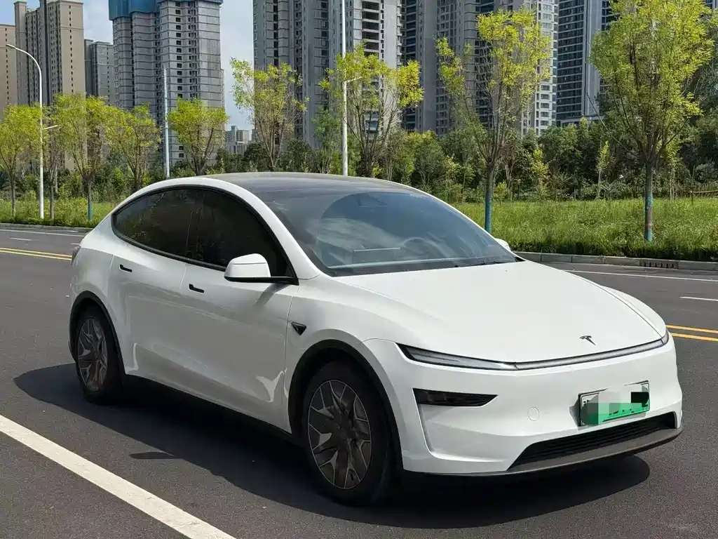 Tesla Model Y L — миниатюра 3