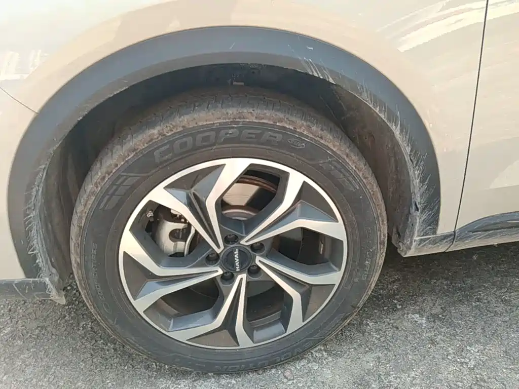 Haval Xiaolong MAX — миниатюра 23