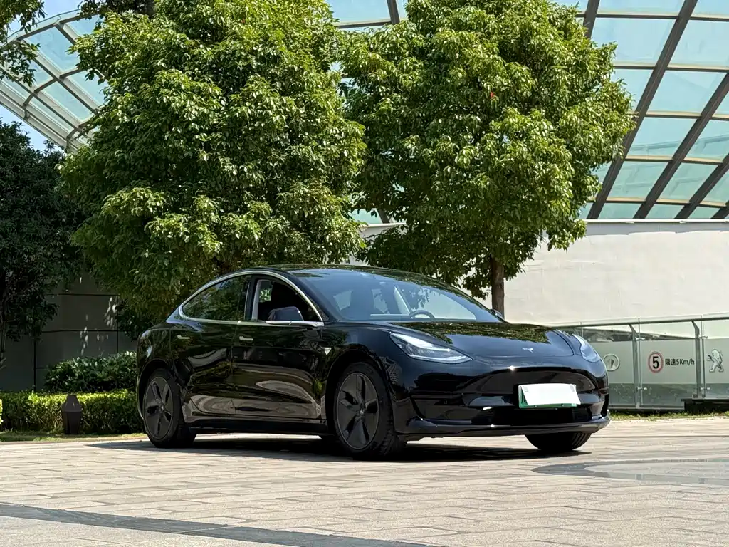 Tesla Model 3 — миниатюра 3