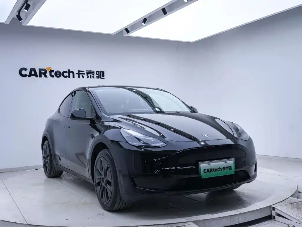 Tesla Model Y — миниатюра 6