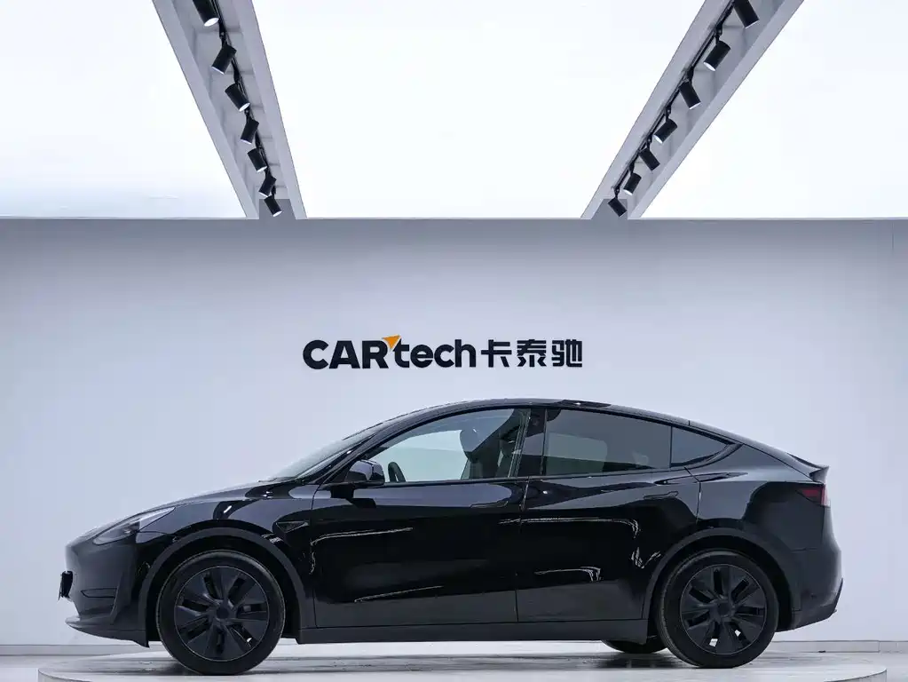 Tesla Model Y — миниатюра 2