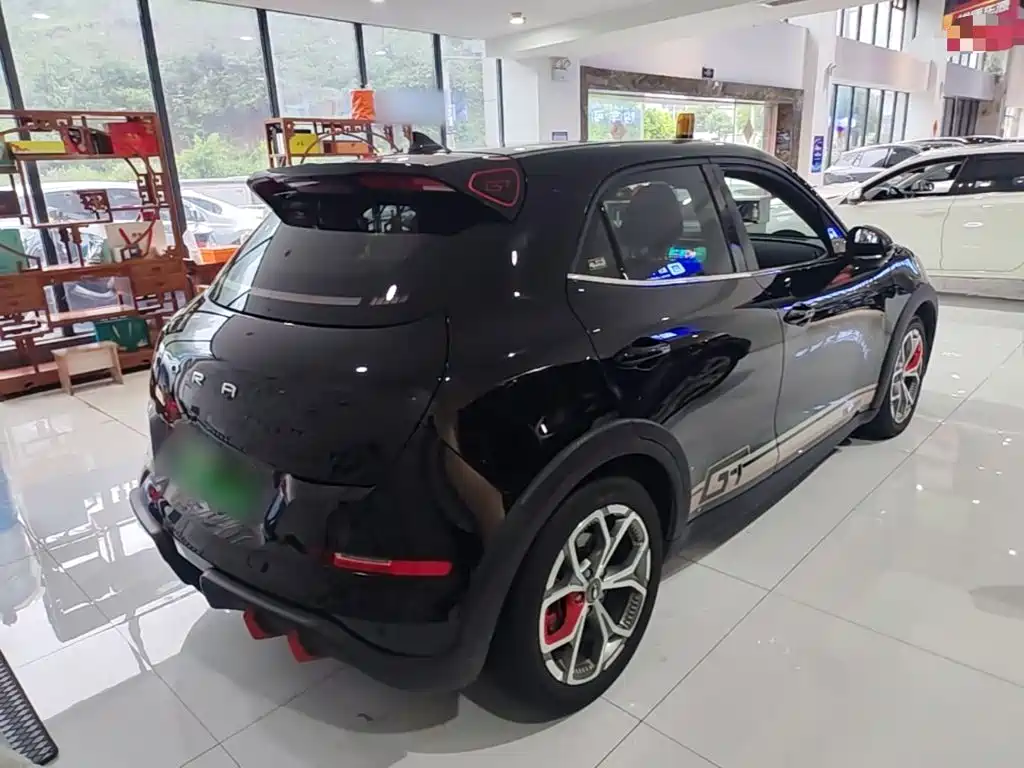 Ora Ora Good Cat GT — миниатюра 7