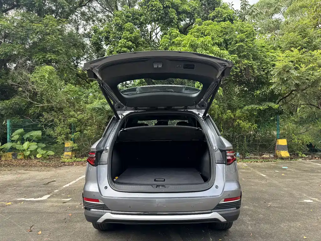 BYD Pro New Energy — миниатюра 8