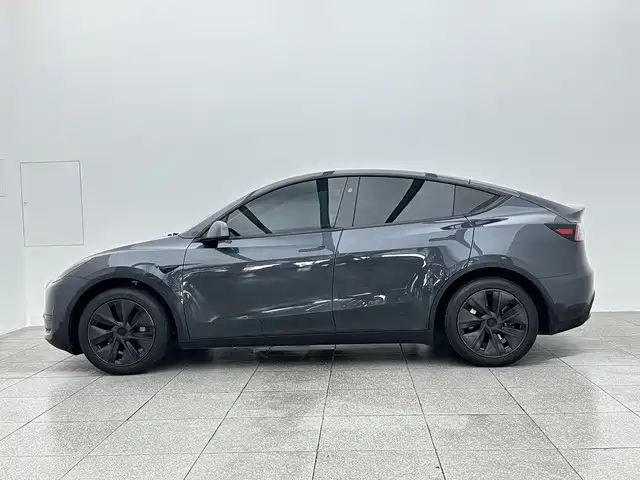 Tesla Model Y — миниатюра 8