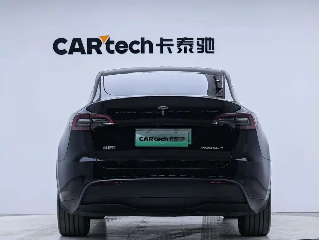 Tesla Model Y — миниатюра 5