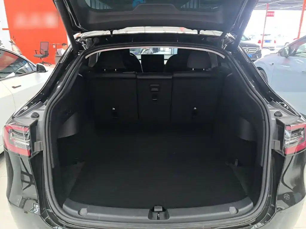Tesla Model Y — миниатюра 19