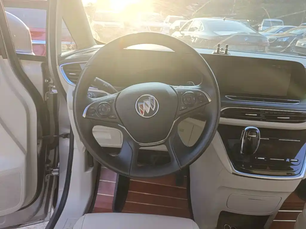 Buick GL8 — миниатюра 11