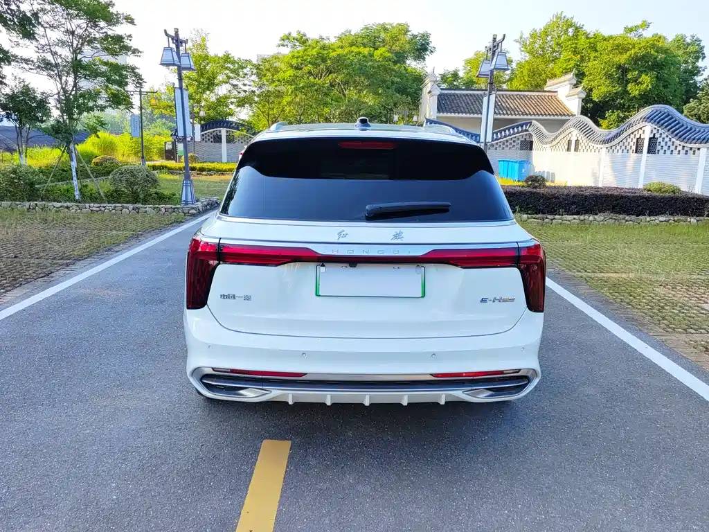 Hongqi E-HS9 2021 460km мест