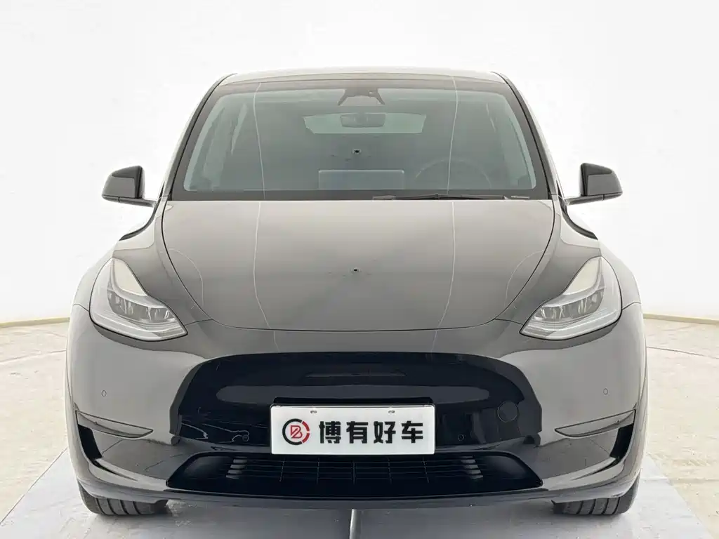 Tesla Model Y — миниатюра 2