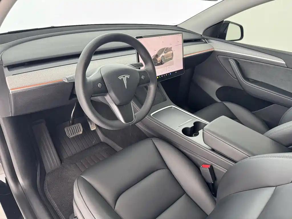 Tesla Model Y — миниатюра 13