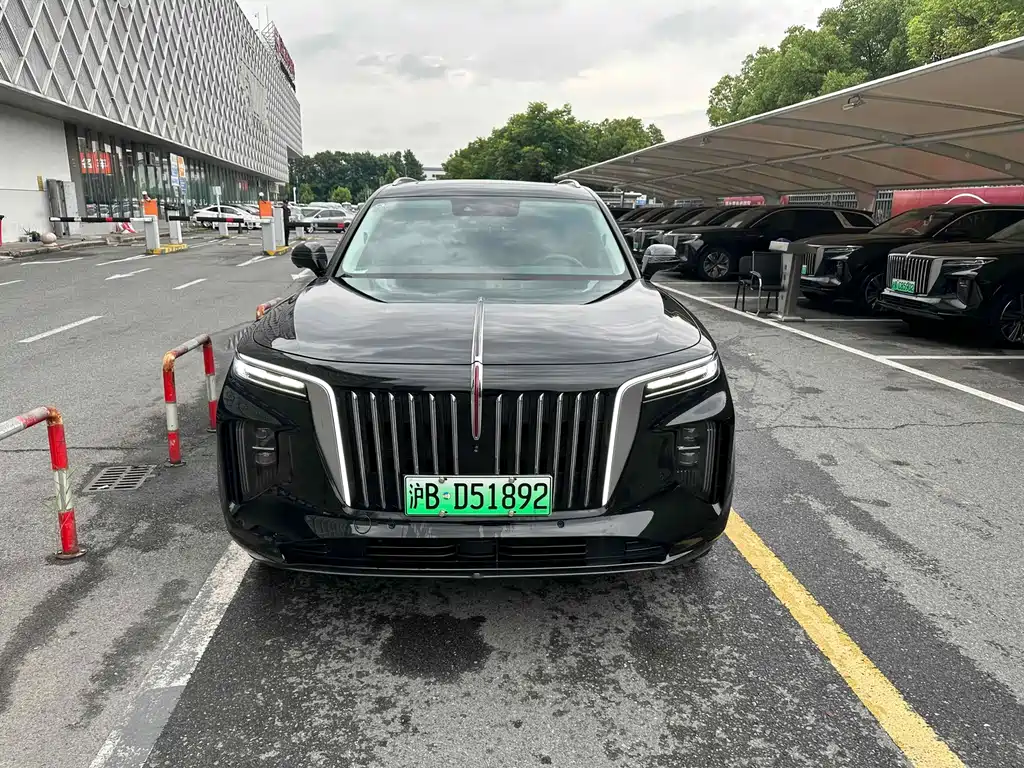 Hongqi HONGQI E HS9