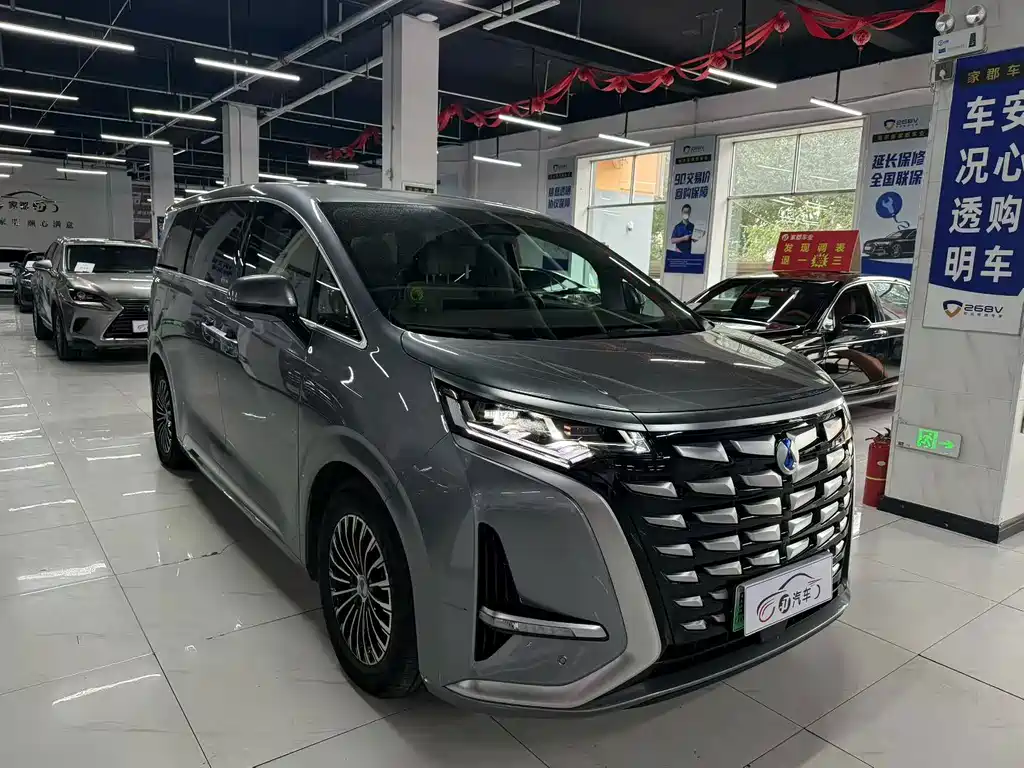 Denza Denza D9 — миниатюра 3
