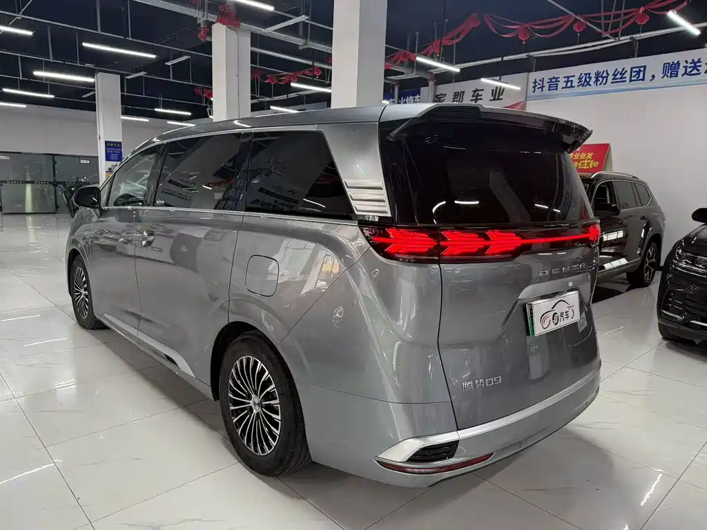 Denza Denza D9 — миниатюра 4
