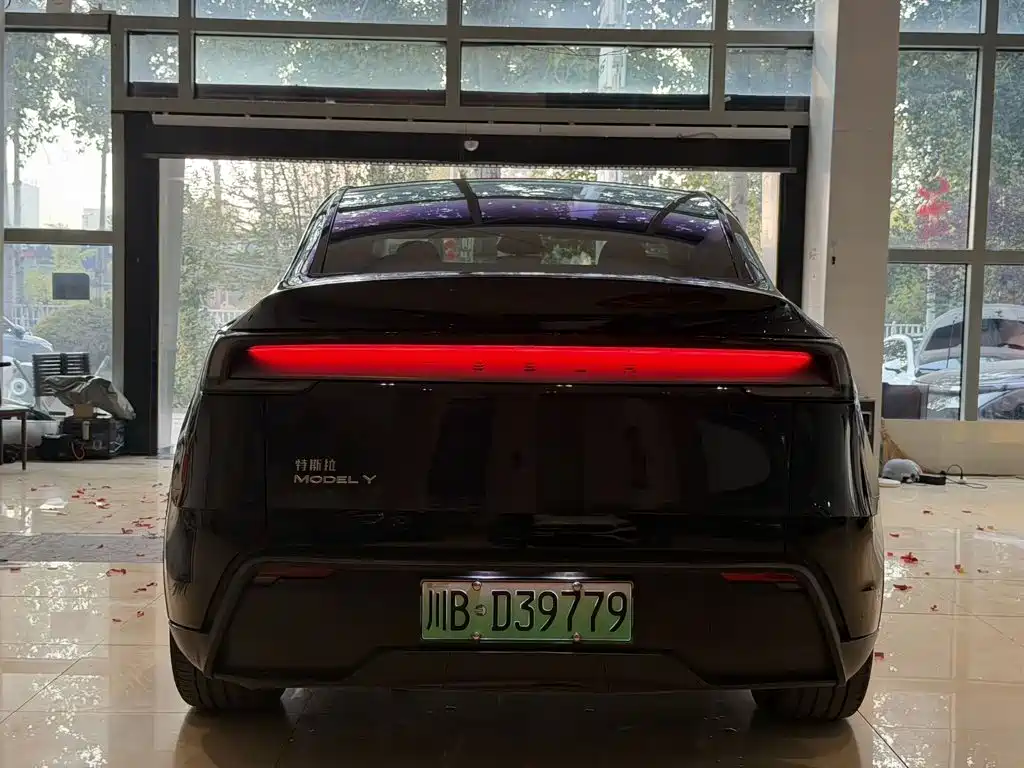 Tesla Model Y — миниатюра 8