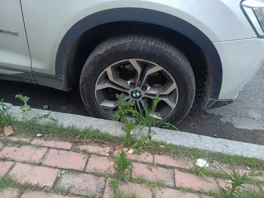 BMW X3 (Import) — миниатюра 8