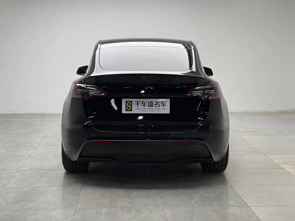Tesla Model Y — миниатюра 5