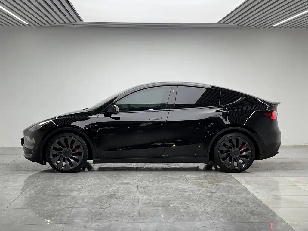 Tesla Model Y — миниатюра 7