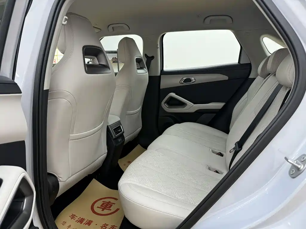 BYD Yuan Up UP 2025 Smart Drive 401KM Lead