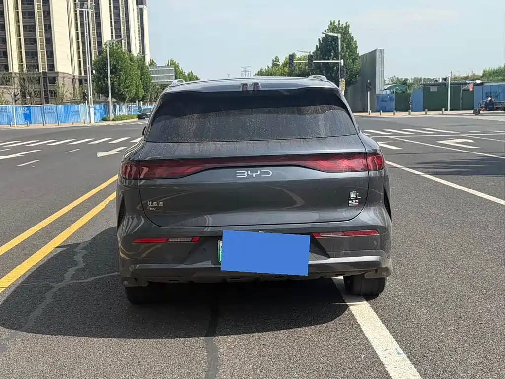 BYD Дон Л. — миниатюра 5