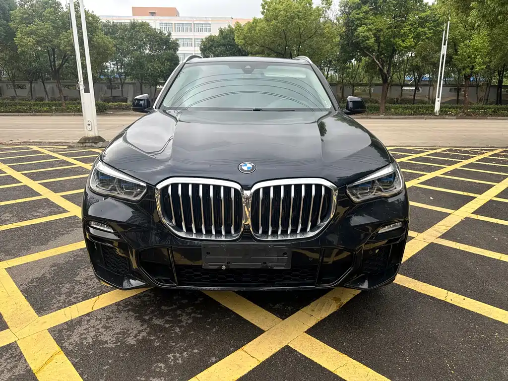 BMW X5 (Import) — миниатюра 2