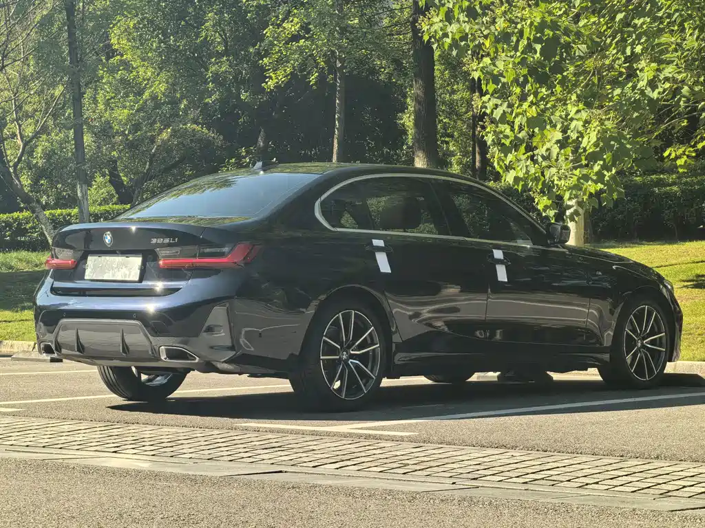 BMW 3 Series — миниатюра 15