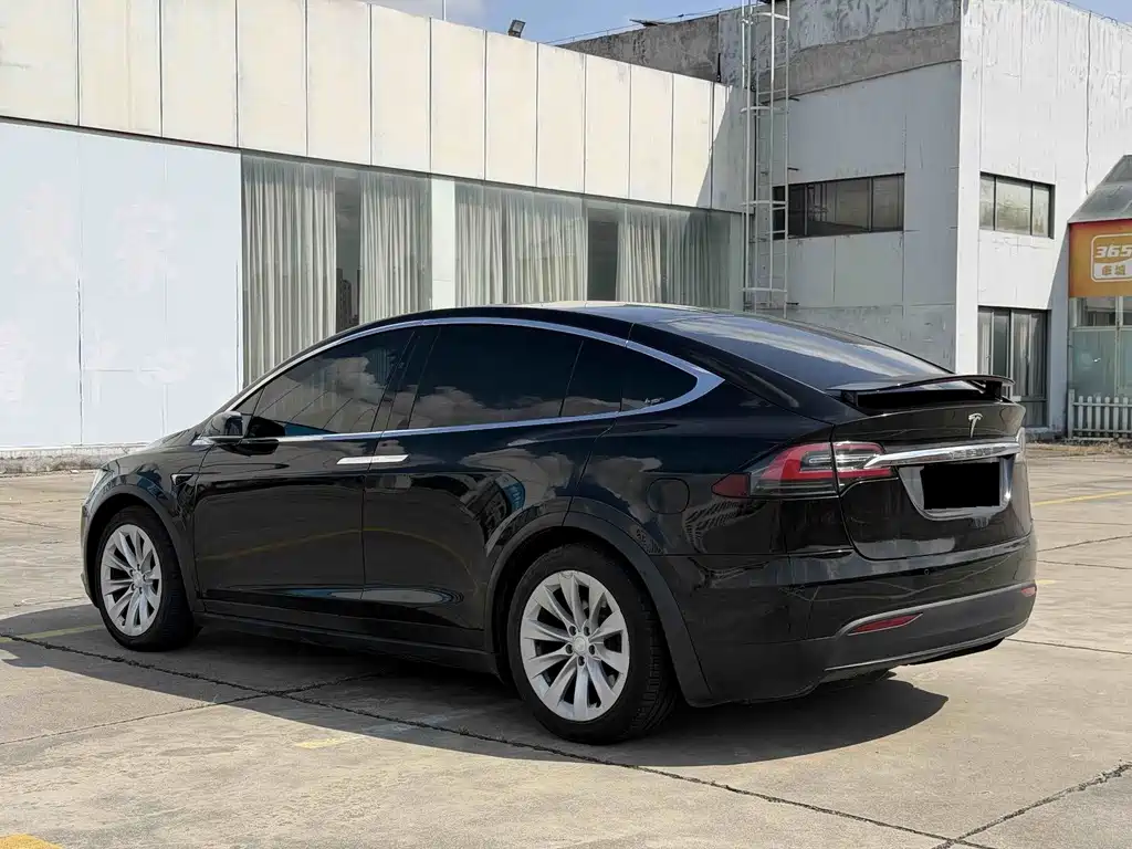 Tesla Model X — миниатюра 6