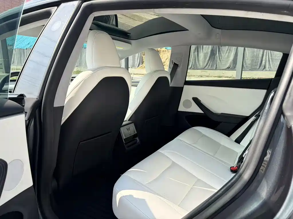 Tesla Model 3 — миниатюра 4