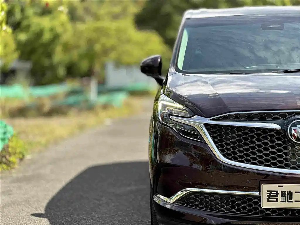 Buick GL8 — миниатюра 4