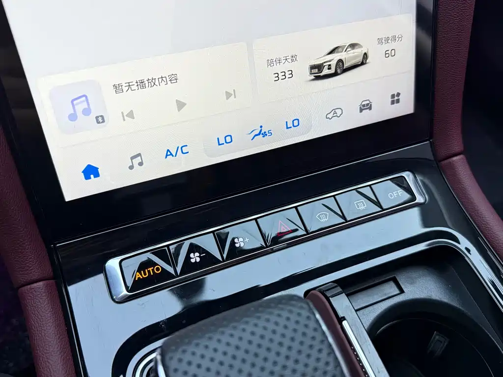 Hongqi Hongqi H5 — миниатюра 11