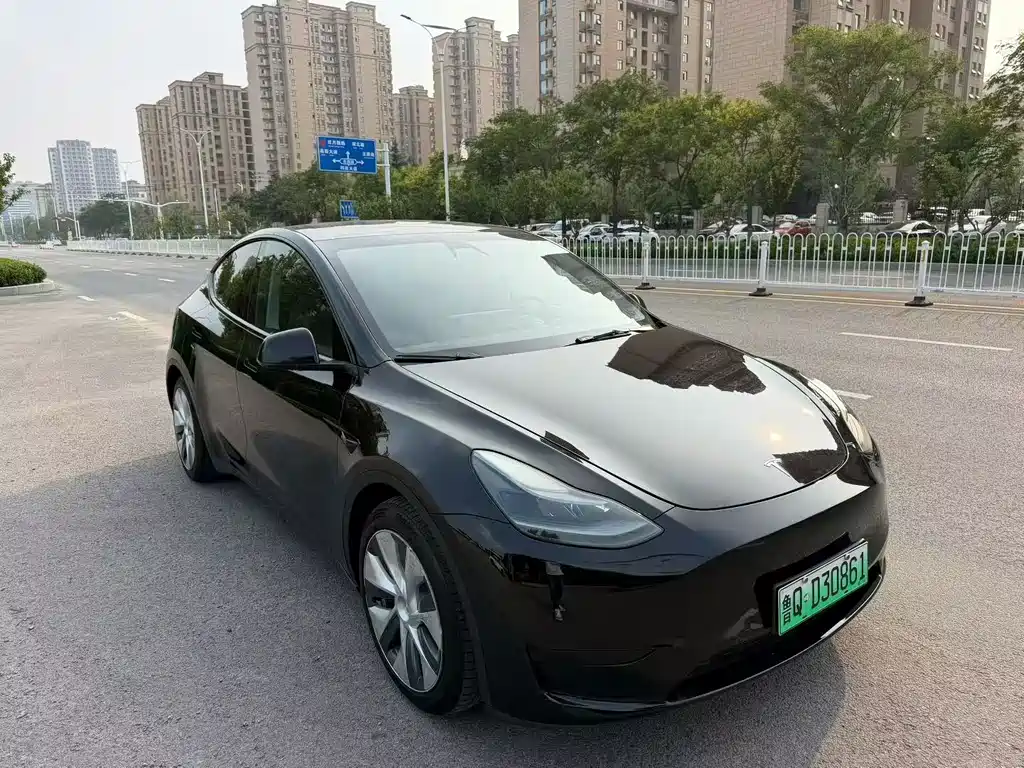 Tesla Model Y — миниатюра 2