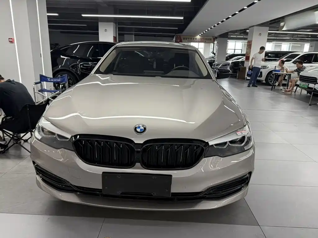 BMW 5 Series 5 2019 530Li Lead Luxury