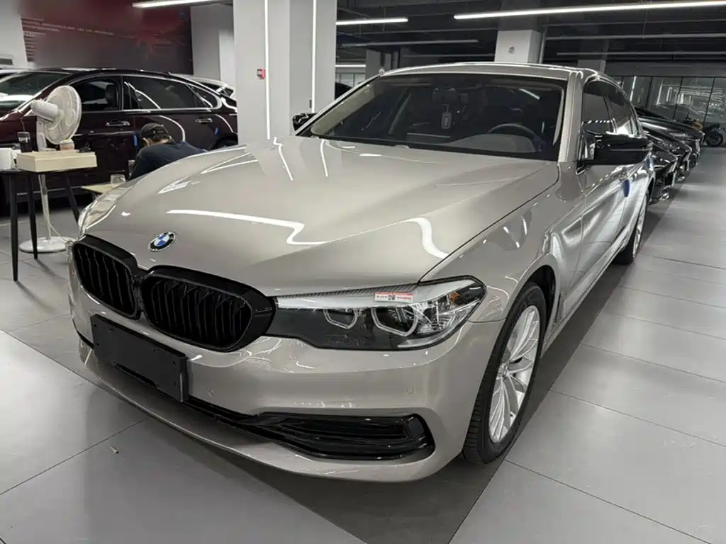 BMW 5 Series 5 2019 530Li Lead Luxury