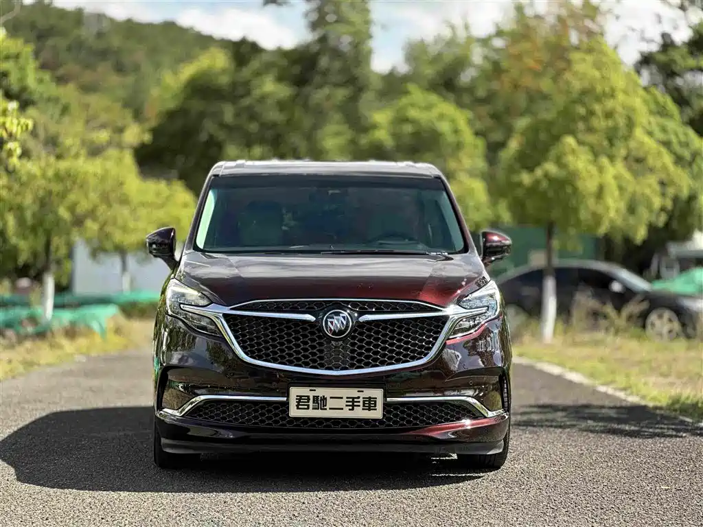 Buick GL8 — миниатюра 2