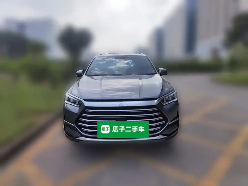 BYD Pro New Energy — миниатюра 2