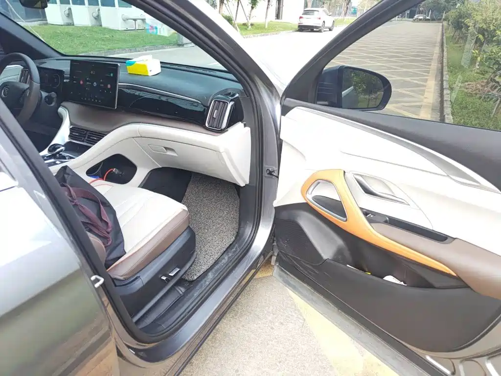 BYD Pro New Energy — миниатюра 19
