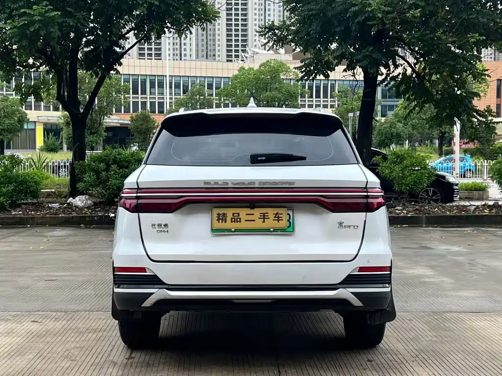 BYD Pro New Energy — миниатюра 8