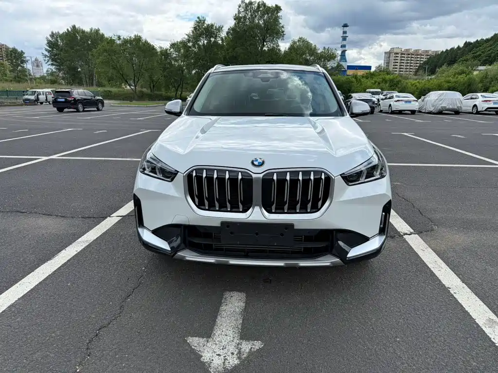 BMW X1 — миниатюра 2