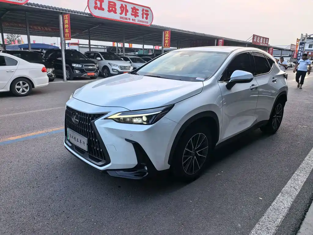 Lexus NX New Energy — миниатюра 2