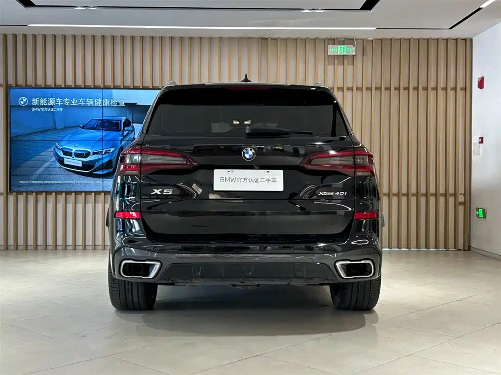 BMW X5 (Import) — миниатюра 2