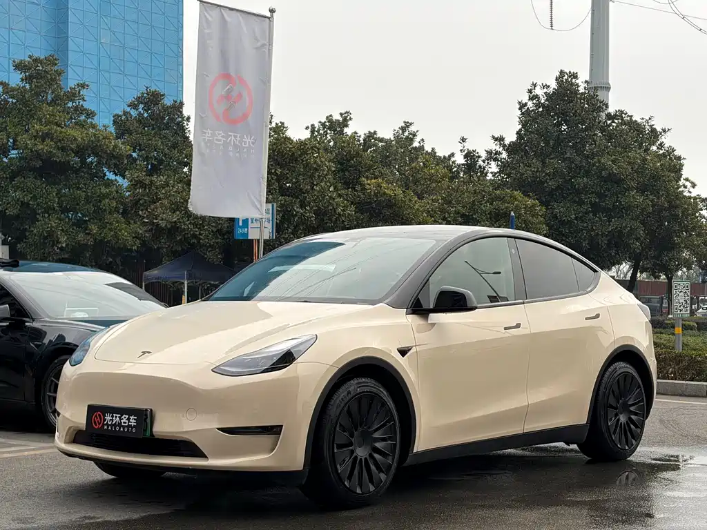 TESLA MODEL Y