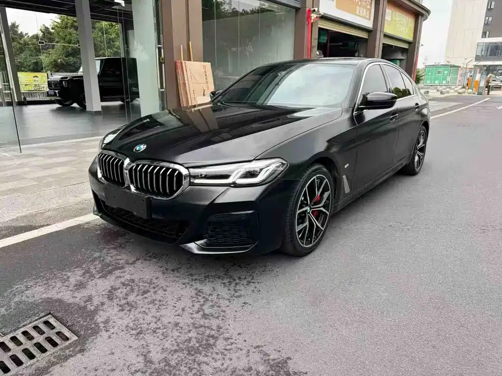 BMW 5 Series (Import) — миниатюра 2