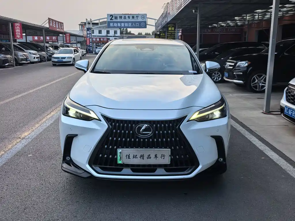 Lexus NX New Energy