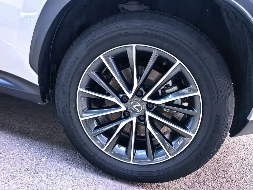Lexus NX New Energy — миниатюра 19