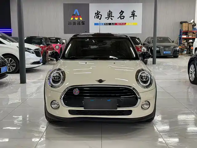 mini 