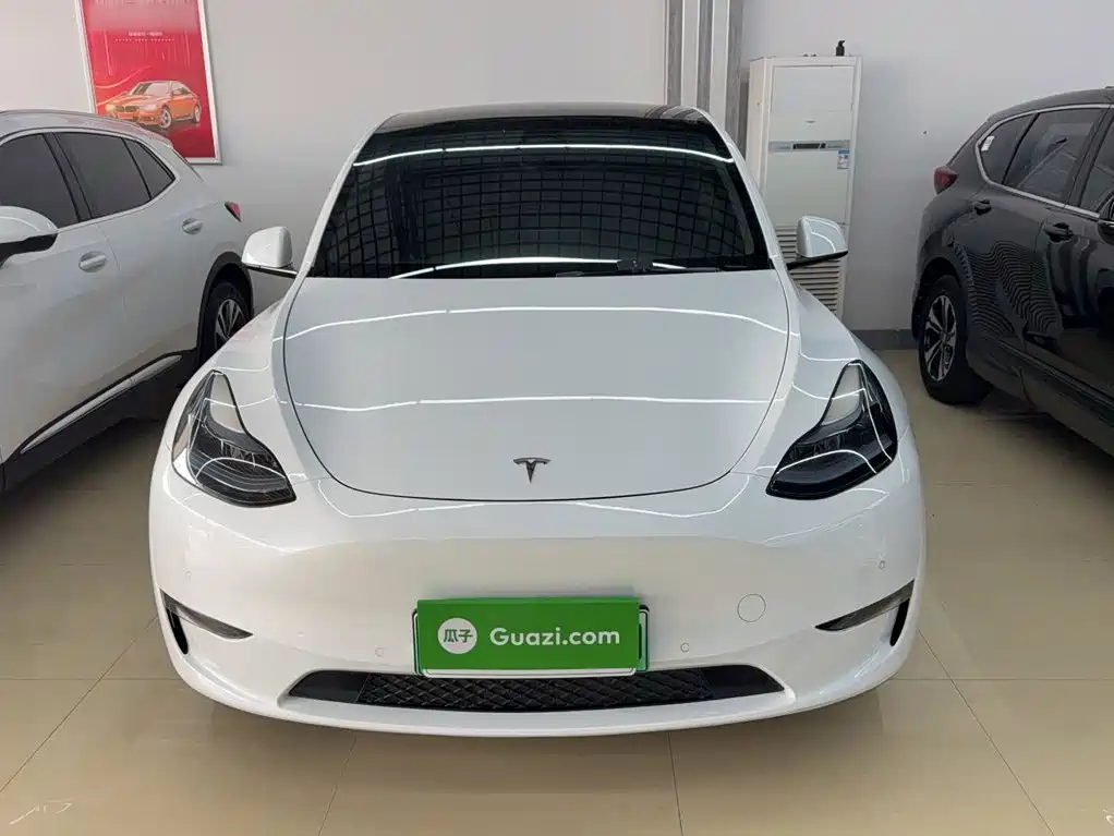 Tesla Model Y — миниатюра 3