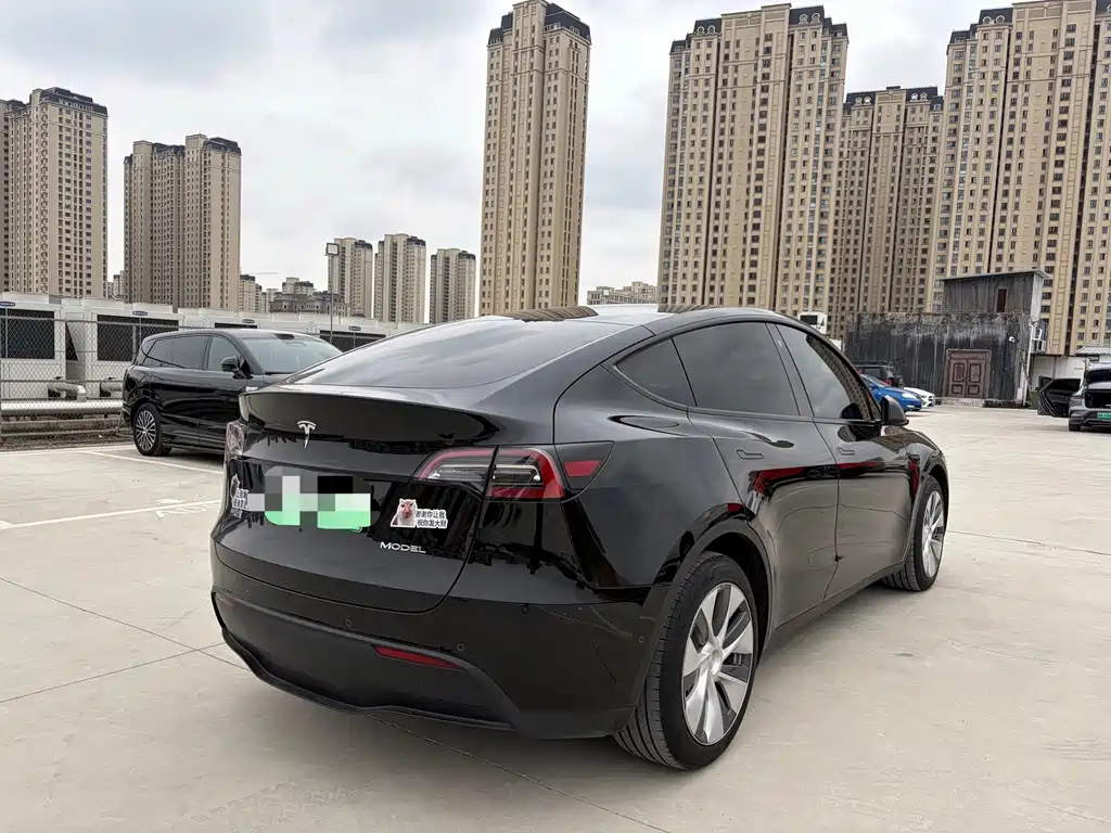 Tesla Model Y — миниатюра 10