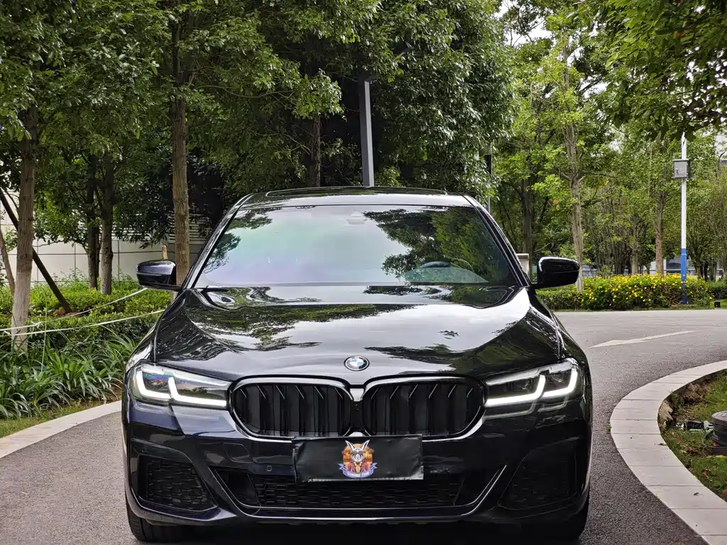 BMW 5 Series — миниатюра 2