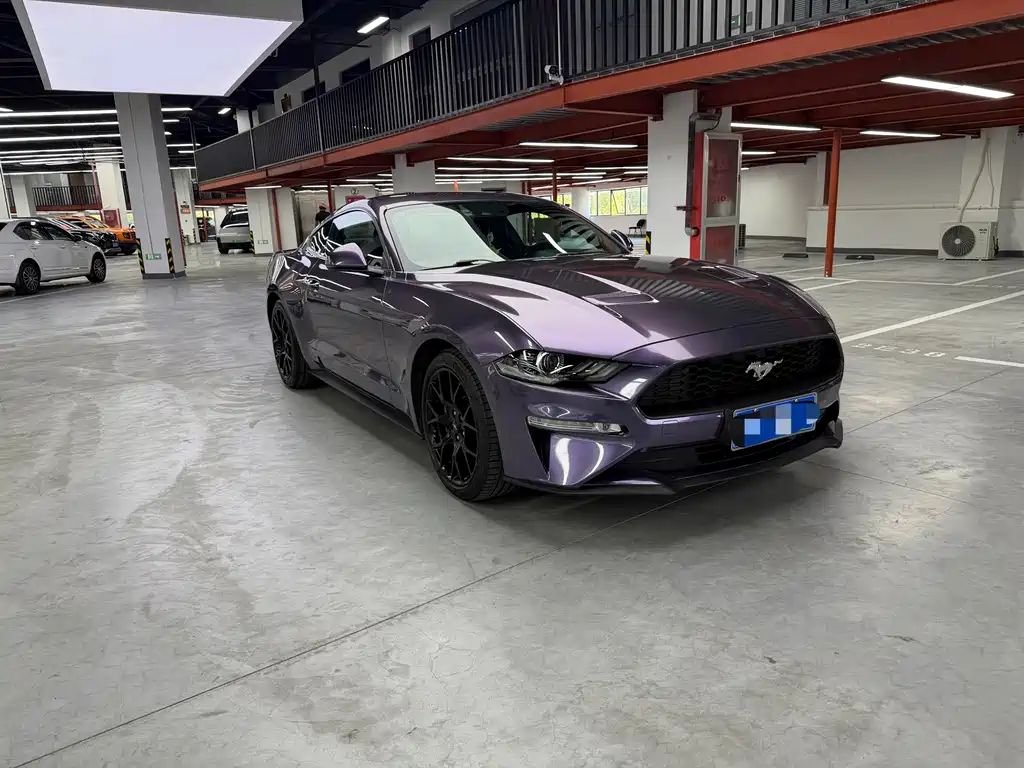 Ford Mustang — миниатюра 3