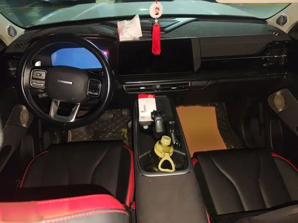Haval Cool Dog — миниатюра 13